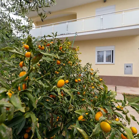 Apartman K&f Borik Zadar