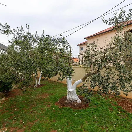 K&f Borik Appartement *