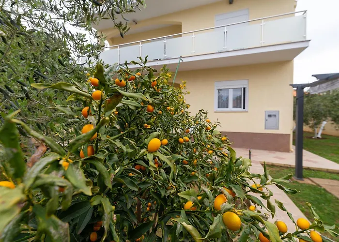 شقة K&f Borik زادار