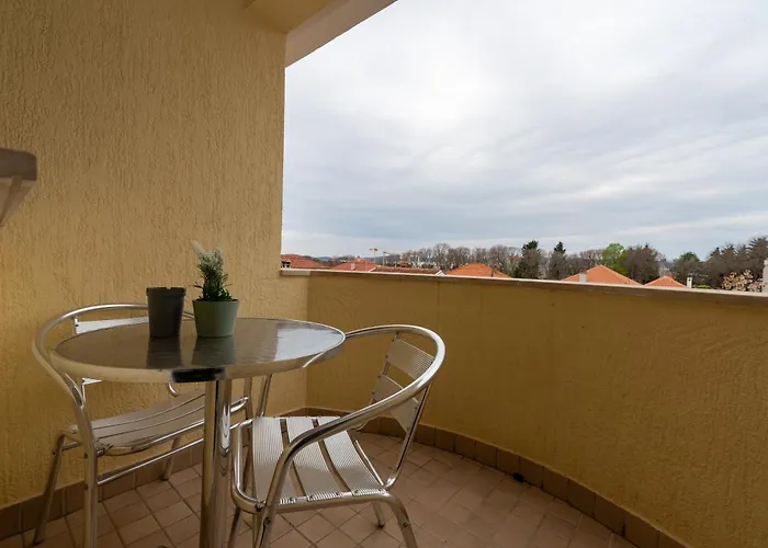 K&f Borik زادار