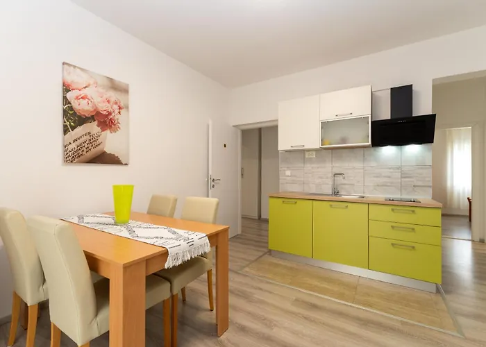 K&f Borik زادار